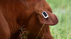 Caravanas inteligentes